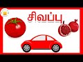      learn colours in tamil for kids and children