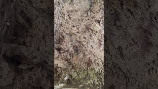 El Roble Municipio de Emiliano Zapata, Veracruz