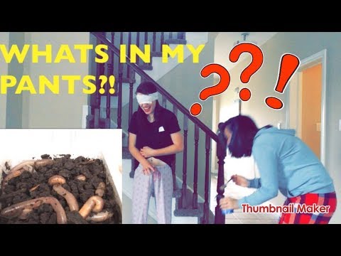 I PUT A WORM IN HER PANTS!?  (DT VERSION)