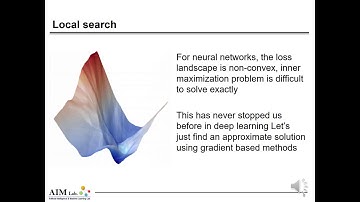adversarial robustness