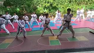 karate kids #karatr #sabukputih #sabukkuning #sabukhijau #sabukbiru #sabukcoklat #sabukhitam