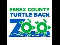 Essex county turtle back zoo full tour 2023