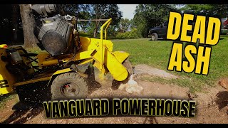 Vanguard Engine Destroys Ash Stump.
