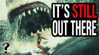 Wtf Is Up With The Megalodon Shark?