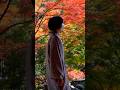 🍁京都紅葉🍁#京都散策 #kyototrip #京都紅葉#photographer