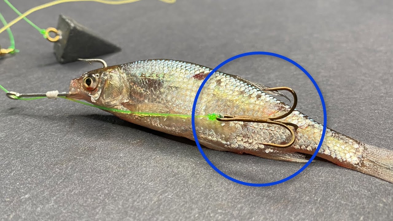 APAREJO DE PESCA 100% EFECTIVO PARA PESCAR CON CARNADA VIVA/MUERTA.