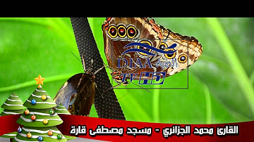 ما تيسر من سورة البقرة للقارئ محمد بازون الجزائري - مسجد مصطفى قارة اولاد موسى