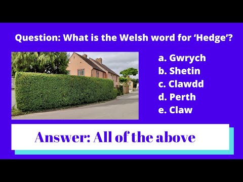 فيديو: لماذا للويلزية لغة مختلفة؟
