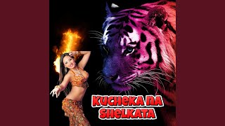 Download Lagu Power Kuchek MP3