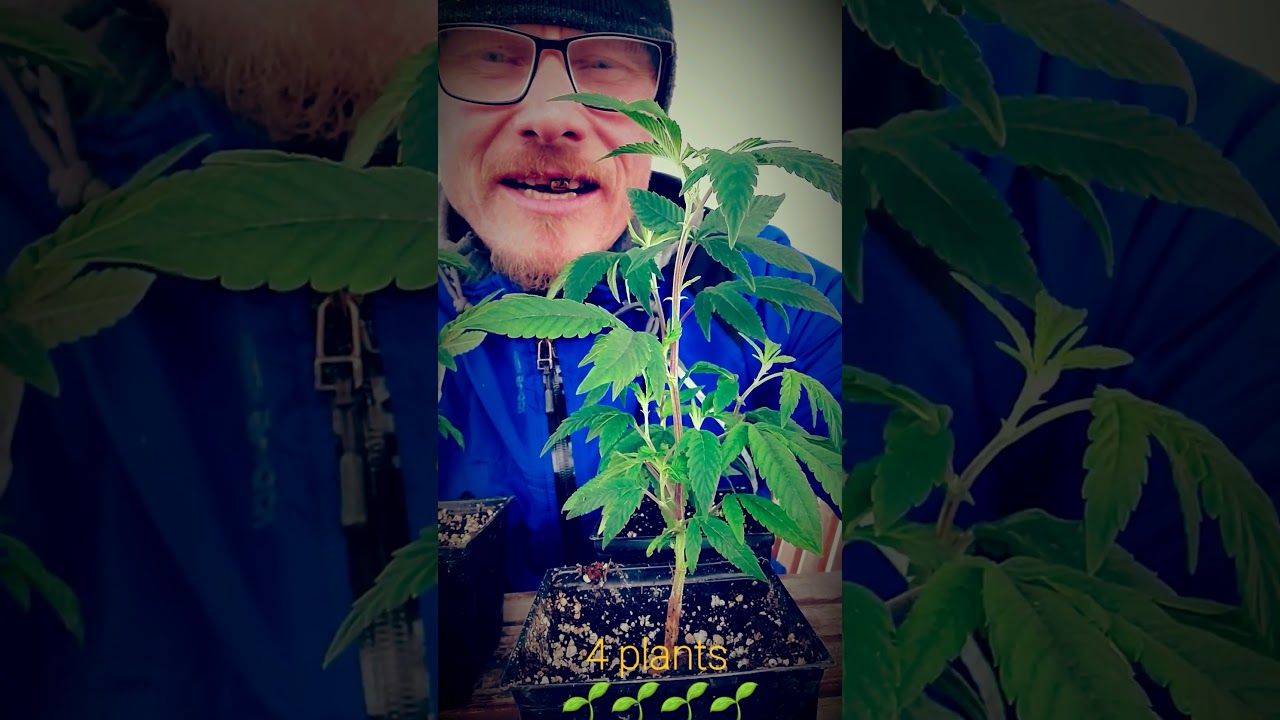 "At home" with Ross Rebagliati