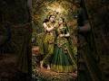 🙏🙏💕💕 radha rani ki jay ho 💕💕🙏🙏#shotsvideo #vairalvideo #youtubevideo #ai #bhakti