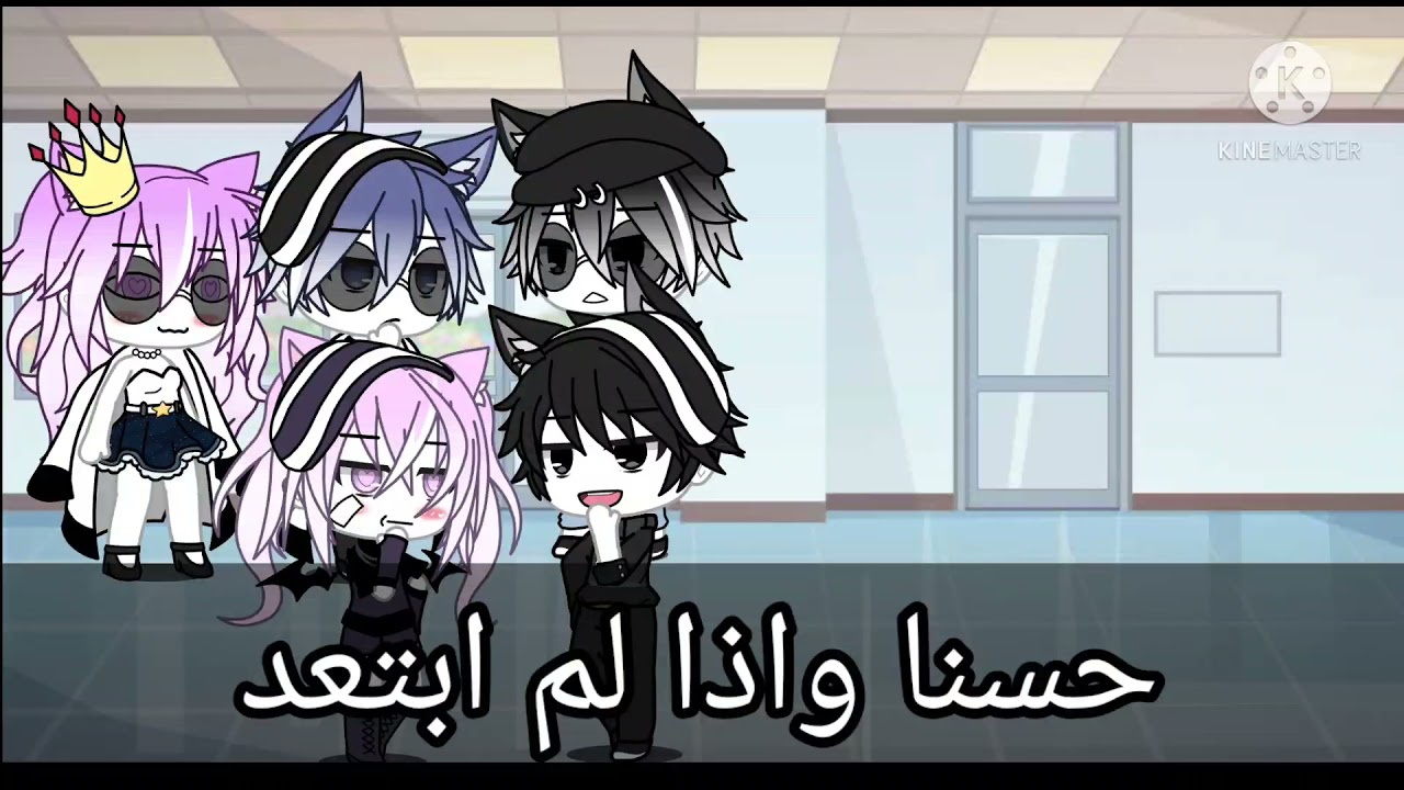 تصبيرة قاشا لايف 💪 هذه الحركة لا تعرفها إلا الاميرات 👸🏻👸🏻