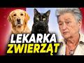 CZŁOWIEK TO NAJGORSZE ZE ZWIERZĄT? DR SUMIŃSKA O PSACH, KOTACH I LUDZIACH