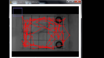 Locomotion Activitiy in Rodents with ImageJ-MTrackJ