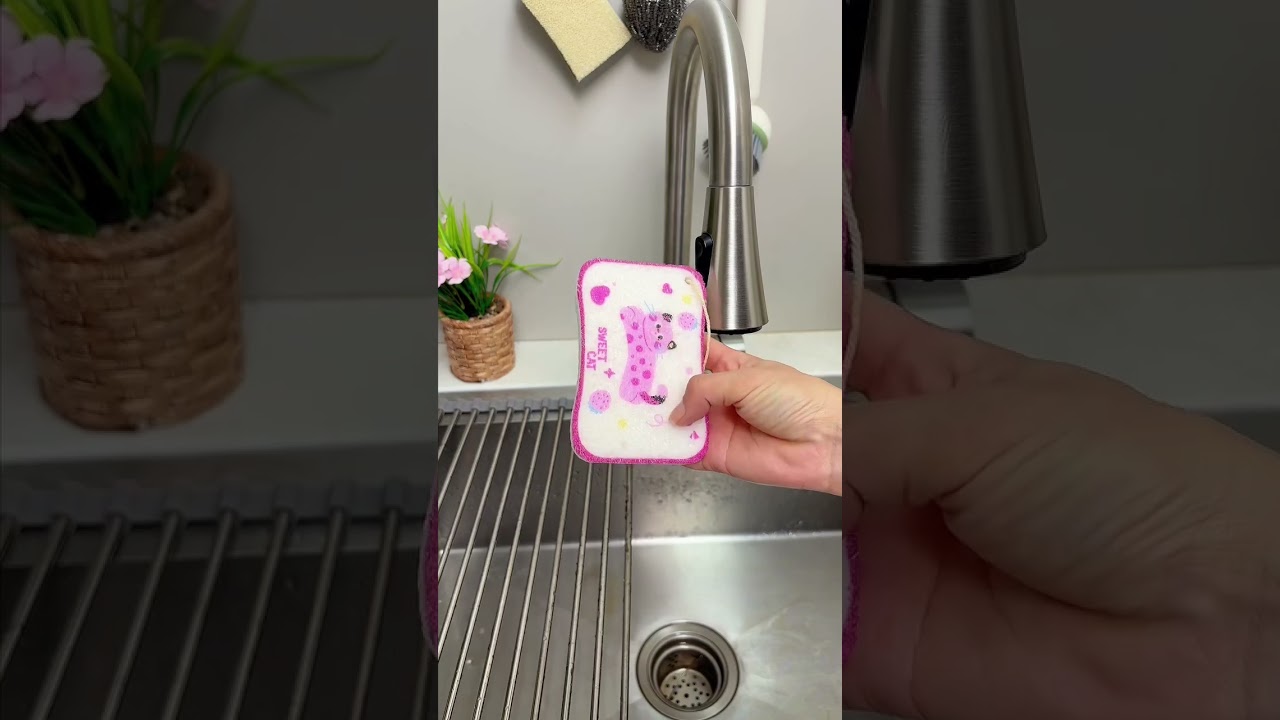 🧼 From Tiny to Powerful! Eco Sponges That Expand in Water 🌊 