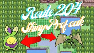 Shiny Budew??? Where are you?? (Portrait)