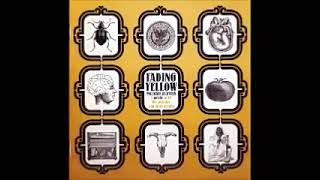 Various – Fading Yellow Vol 11 (A Palette Of US 60s Pop-sike And