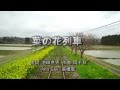 菜の花列車(油菜花列車)_黃進安Alto Sax演奏,演唱:菊地まどか/作詞:池田充男/作曲:岡千秋