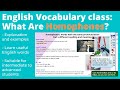 English Vocabulary Class: Homophones | Explanation and Examples