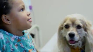 HCA Heroes - Dr. Cynthia Chandler & dog Jesse