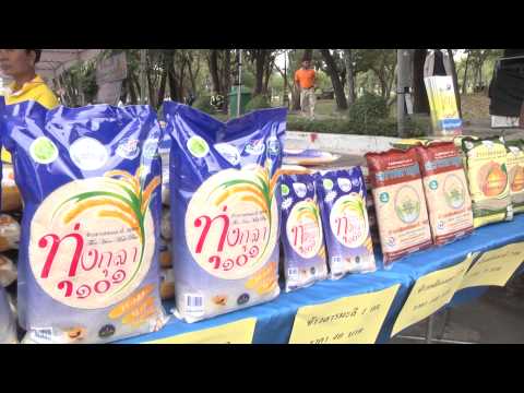 ร้อยเอ็ด เปิดงานถนนข้าวหอมมะลิ และการเจรจาซื้อขายข้าว ปี57