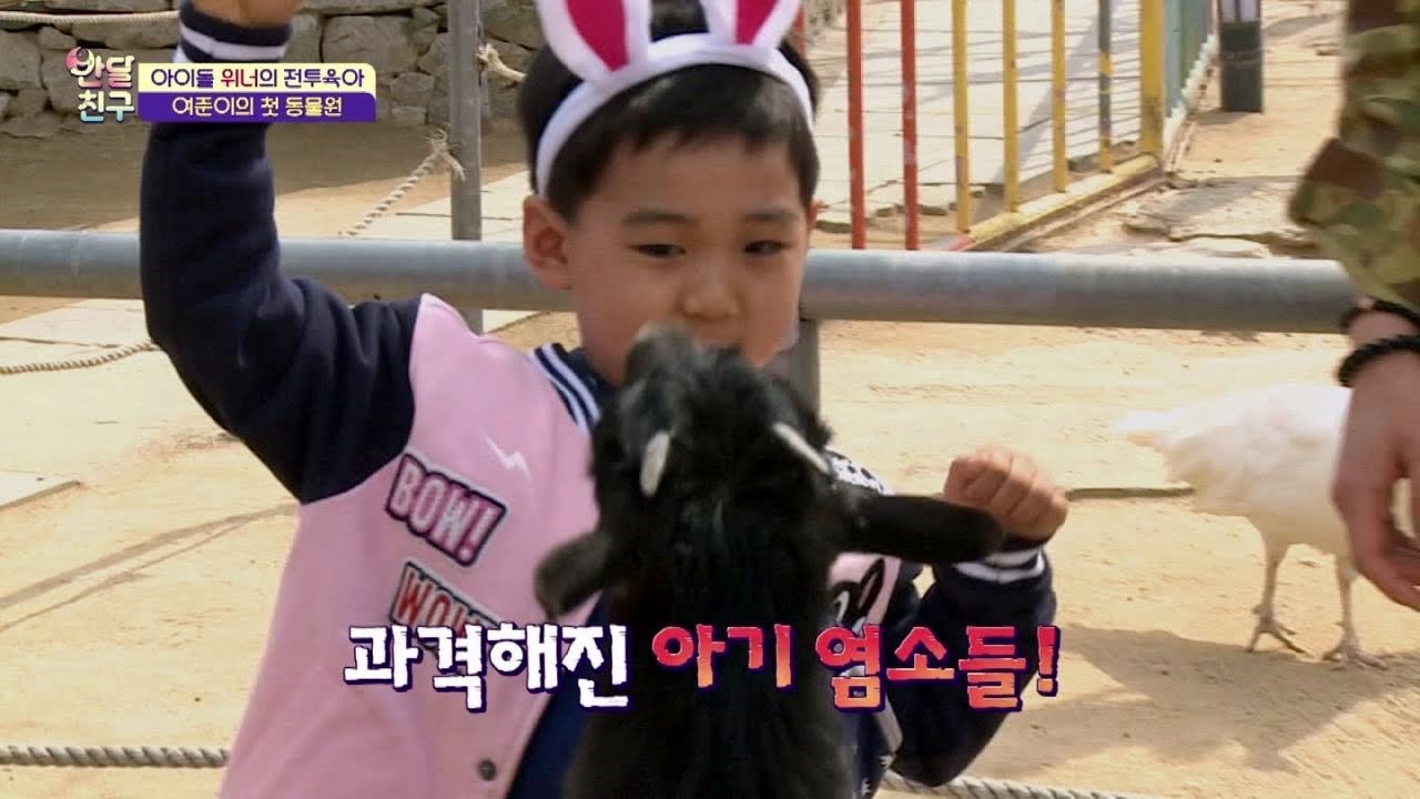 여준, 첫 동물원 방문에 인기 폭발! 동물들 과격함에 줄행랑~ 반달친구 11회