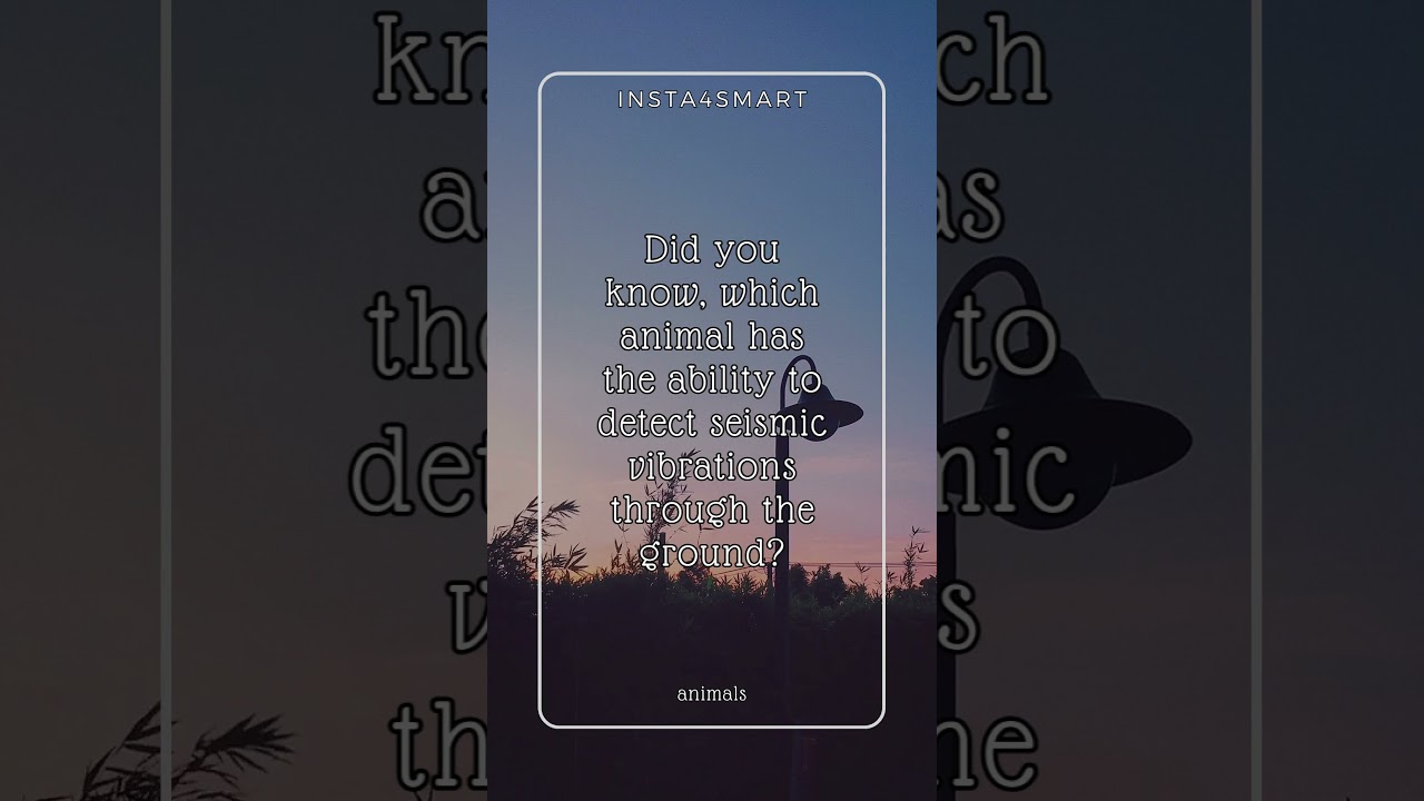 Ability to detect seismic vibrations? # amazing facts