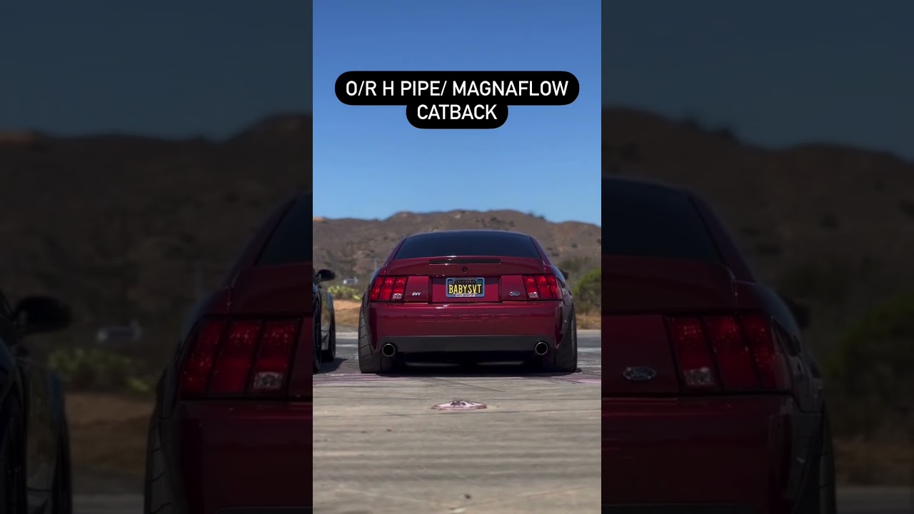 Terminator Cobra Exhaust Clips 🔥 