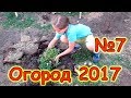 Семья Бровченко. Огород 2017г. - цветы, грядки, мята, ревень, помидоры, зелень и др. (06.17г.)