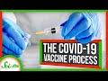 How to Make a COVID-19 Vaccine