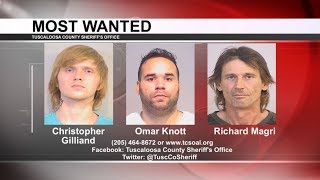 TUSCALOOSA'S MOST WANTED: MAY 31, 2017