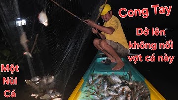 Trúng 2 vợt cá he mấy chục bầy cá khủng đầy vợt dở tay không nổi | Săn bắt SÓC TRĂNG |