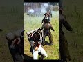 ASSASSINS CREED UNITY BADASS STEALTH KILLS (SLO MO)