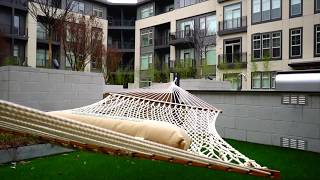 Residences at Capitol View Community Video Capitol View 3b Floorplan 791