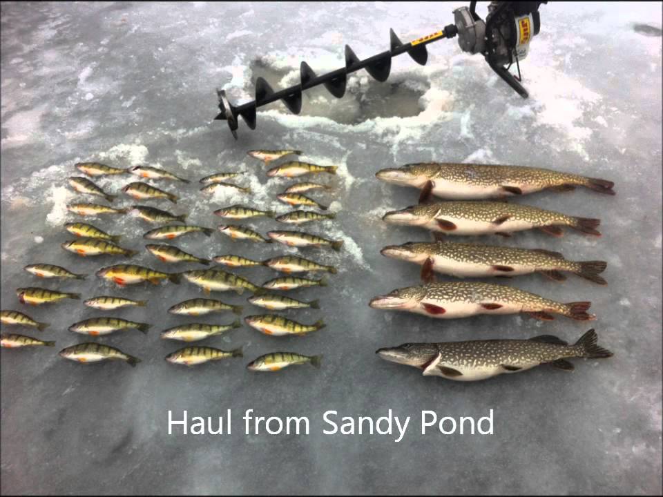 FISHINGVIDEOFORFINALMEETING - YouTube