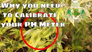 Huge Garden Mistake Involving PH Meter | Why you need to Calibrate your PH pen | Bluelab PH meter