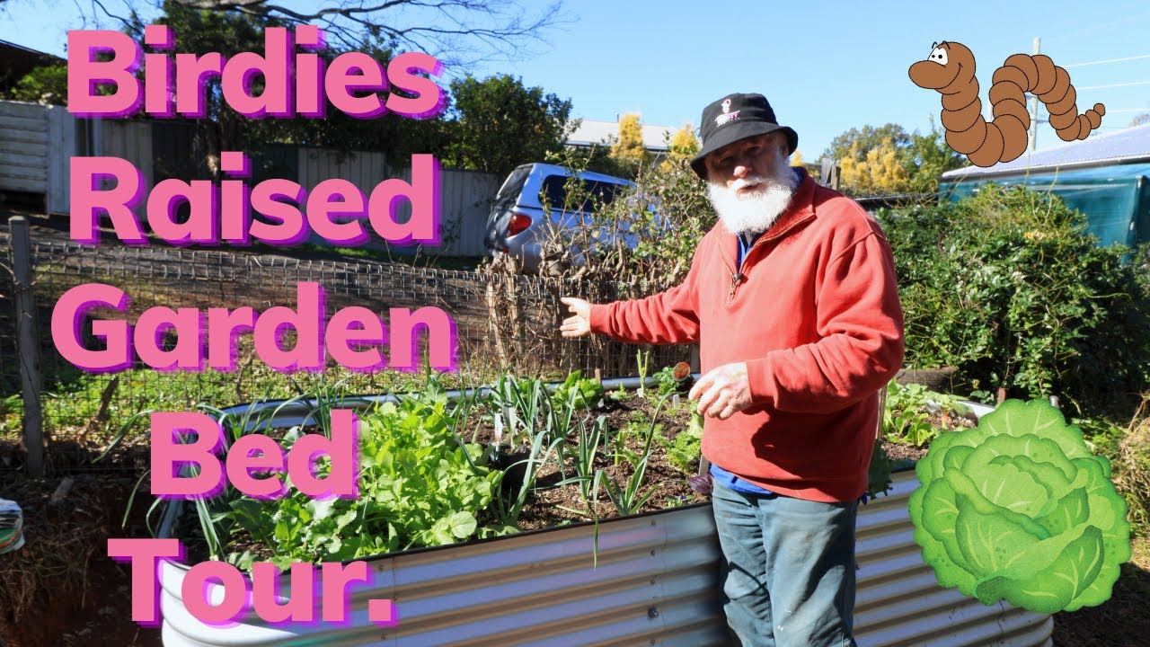Birdies Raised Garden Bed Tour. YouTube