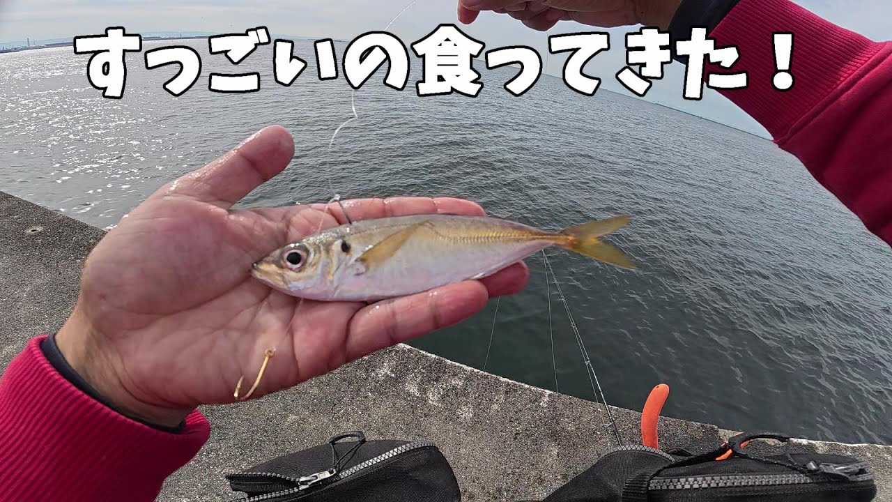 この泳がせ仕掛けがヤバイ！ドラグ爆出デッカい魚との激闘