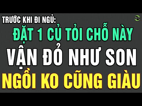 Trước Khi Đi