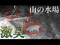 山に公衆浴場と公衆トイレ作っちゃった【山開拓】#41