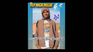 Bvm .Long live pellie# tribute