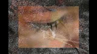 Download lagu koes plus Pagi yang Indah.mp4