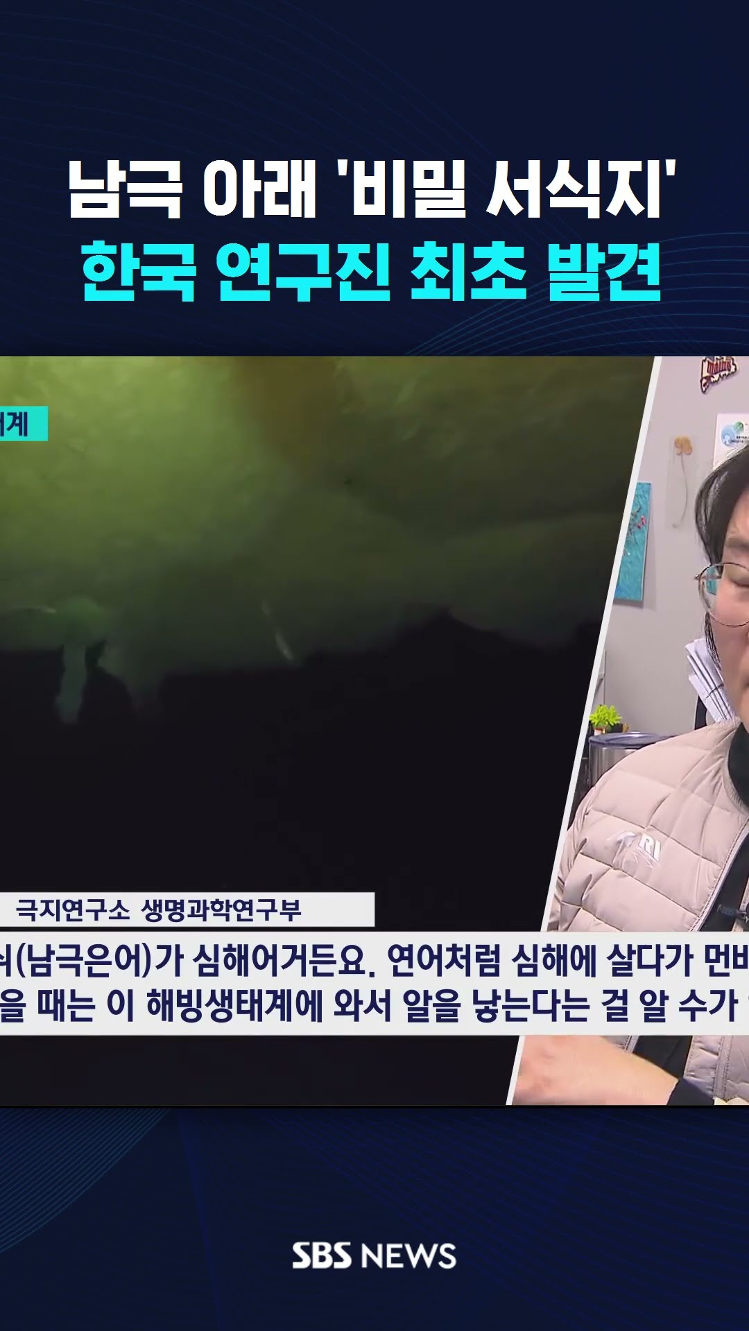 [단독] 남극 아래 '비밀 서식지'…한국 연구진 최초 발견  #shorts