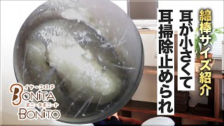 #耳掃除 耳が小さ過ぎて耳掃除止められた!耳にあった綿棒のサイズ紹介