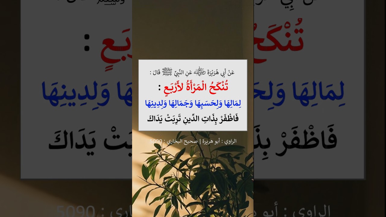 تنكح المرأة لأربع  = الشيخ عبد الرزاق البدر