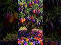 Quick and easy techniques for growing and propagating Jamun plum trees. #garden #plant #diy