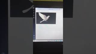 vs code css=filter.html