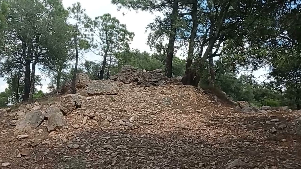 caesarias y aereus por Teruel,18 de septiembre 2021