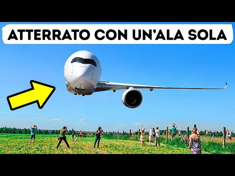 Video: Ho preparato il tè