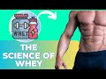 Discover the Science Behind Whey Protein and Muscle Gain